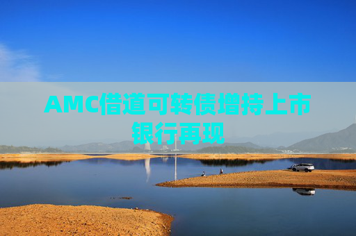 AMC借道可转债增持上市银行再现  第1张