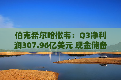 伯克希尔哈撒韦：Q3净利润307.96亿美元 现金储备达3816.7亿美元
