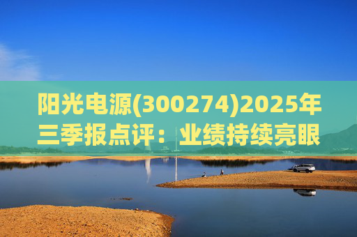 阳光电源(300274)2025年三季报点评：业绩持续亮眼 布局AIDC搭建第二增长曲线  第1张