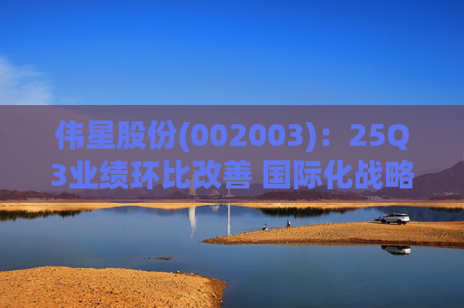 伟星股份(002003)：25Q3业绩环比改善 国际化战略保障成长
