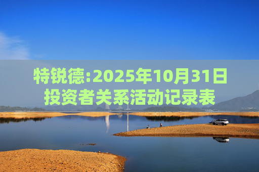 特锐德:2025年10月31日投资者关系活动记录表