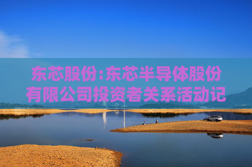 东芯股份:东芯半导体股份有限公司投资者关系活动记录表（2025年11月3日）  第1张