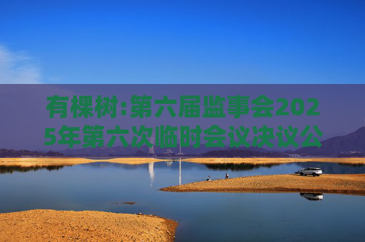 有棵树:第六届监事会2025年第六次临时会议决议公告