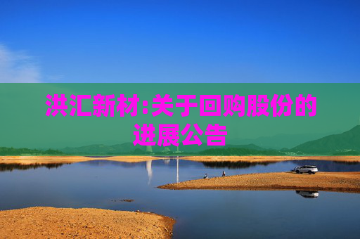 洪汇新材:关于回购股份的进展公告