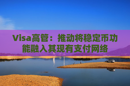 Visa高管：推动将稳定币功能融入其现有支付网络  第1张