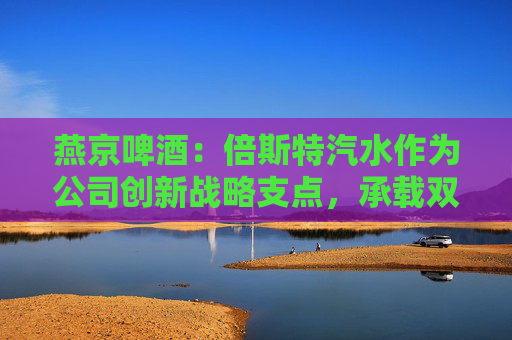 燕京啤酒：倍斯特汽水作为公司创新战略支点，承载双重使命
