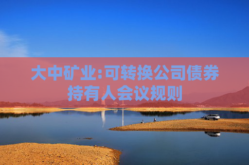 大中矿业:可转换公司债券持有人会议规则
