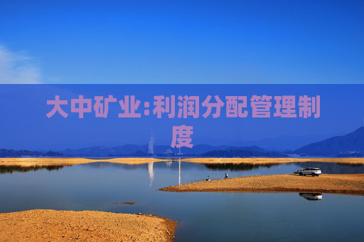 大中矿业:利润分配管理制度