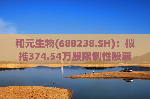 和元生物(688238.SH)：拟推374.54万股限制性股票激励计划  第1张