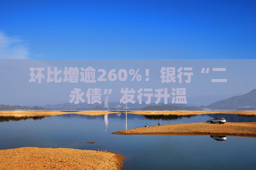 环比增逾260%！银行“二永债”发行升温