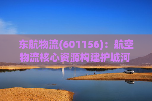 东航物流(601156)：航空物流核心资源构建护城河 看好长期业绩成长  第1张