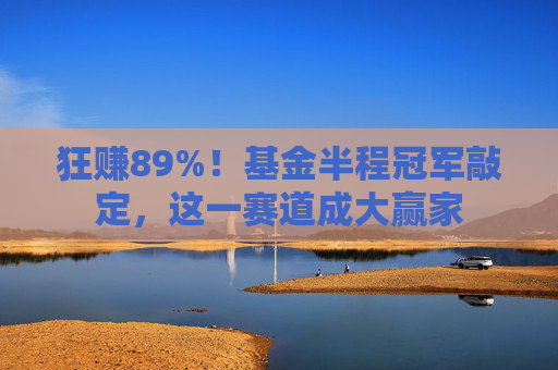 狂赚89%！基金半程冠军敲定，这一赛道成大赢家