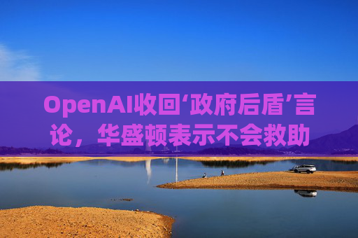 OpenAI收回‘政府后盾’言论，华盛顿表示不会救助  第1张