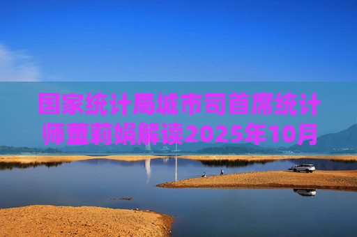 国家统计局城市司首席统计师董莉娟解读2025年10月份CPI和PPI数据