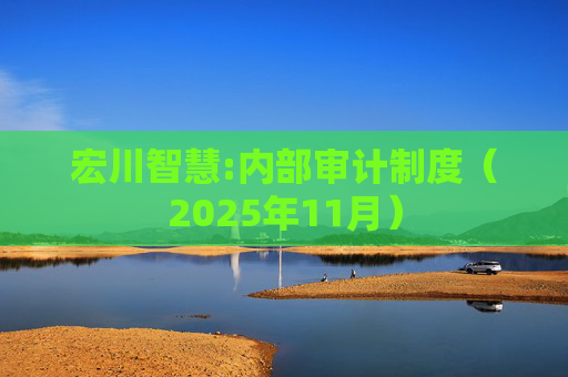 宏川智慧:内部审计制度（2025年11月）  第1张
