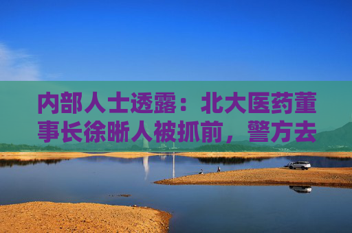 内部人士透露：北大医药董事长徐晰人被抓前，警方去集团厂区调查过