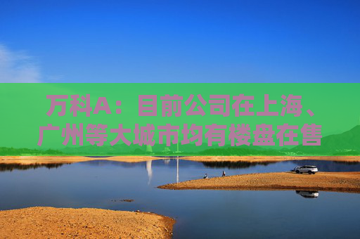 万科A：目前公司在上海、广州等大城市均有楼盘在售