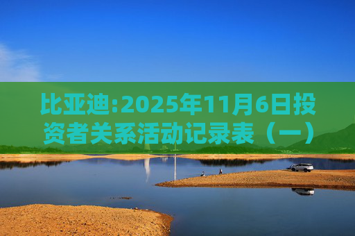 比亚迪:2025年11月6日投资者关系活动记录表（一）