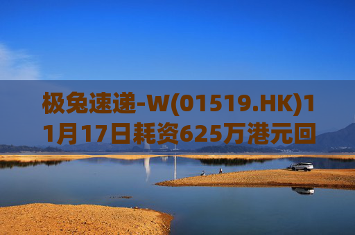 极兔速递-W(01519.HK)11月17日耗资625万港元回购64万B股
