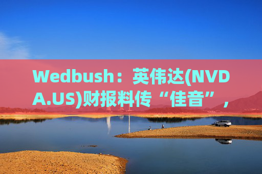 Wedbush：英伟达(NVDA.US)财报料传“佳音”，AI泡沫论将被推翻  第1张