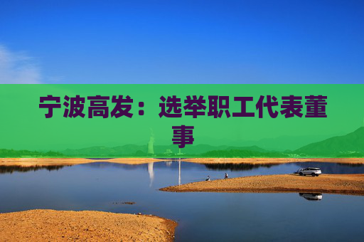 宁波高发：选举职工代表董事