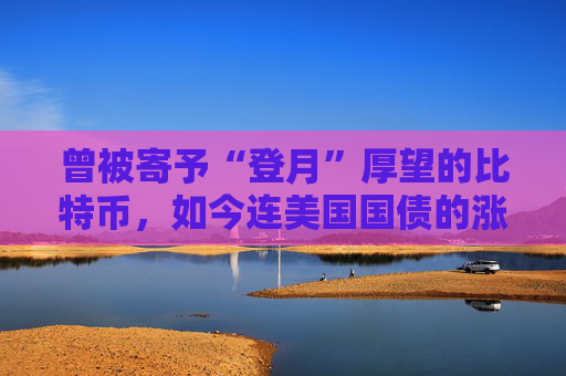 曾被寄予“登月”厚望的比特币，如今连美国国债的涨幅不如  第1张