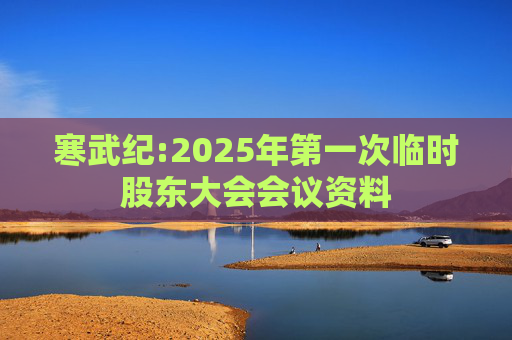 寒武纪:2025年第一次临时股东大会会议资料