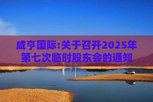 咸亨国际:关于召开2025年第七次临时股东会的通知