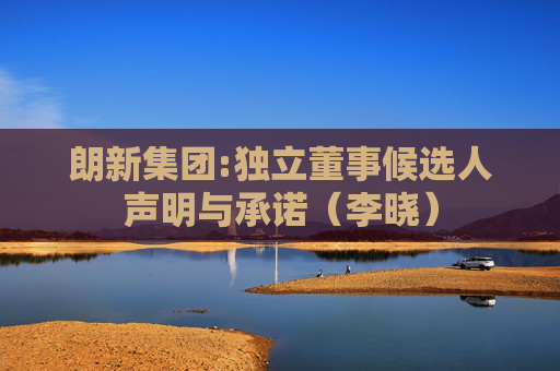 朗新集团:独立董事候选人声明与承诺（李晓）