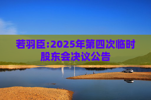 若羽臣:2025年第四次临时股东会决议公告  第1张