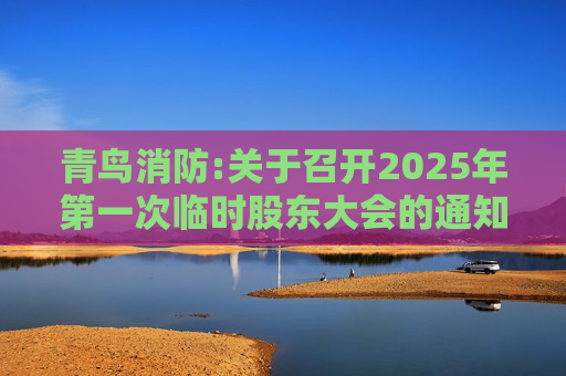 青鸟消防:关于召开2025年第一次临时股东大会的通知