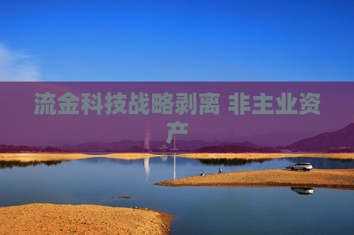 流金科技战略剥离 非主业资产