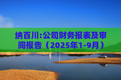 纳百川:公司财务报表及审阅报告（2025年1-9月）  第1张