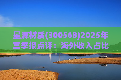 星源材质(300568)2025年三季报点评：海外收入占比提升 盈利水平改善