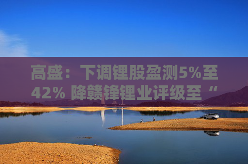 高盛：下调锂股盈测5%至42% 降赣锋锂业评级至“沽售”  第1张