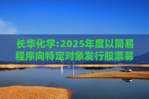 长华化学:2025年度以简易程序向特定对象发行股票募集说明书(申报稿)