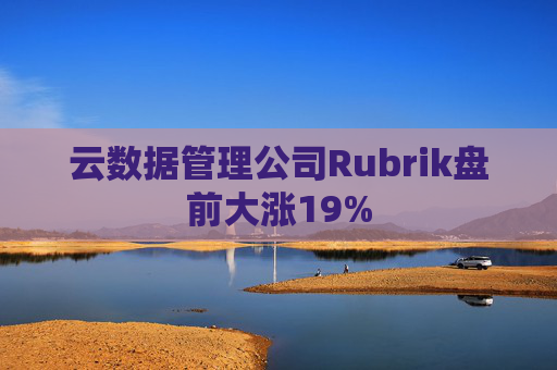 云数据管理公司Rubrik盘前大涨19%