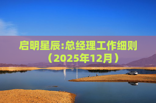 启明星辰:总经理工作细则（2025年12月）  第1张
