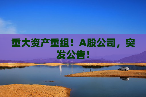 重大资产重组！A股公司，突发公告！