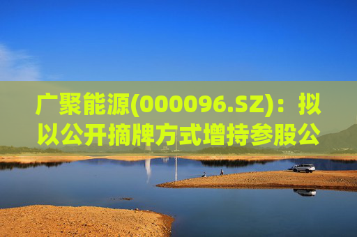 广聚能源(000096.SZ):拟以公开摘牌方式增持参股公司妈湾电力8%股权 第1张 广聚能源(000096.SZ):拟以公开摘牌方式增持参股公司妈湾电力8%股权 第1张