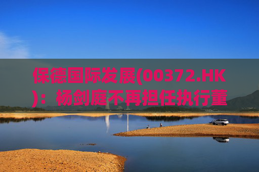 保德国际发展(00372.HK)：杨剑庭不再担任执行董事