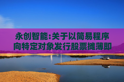永创智能:关于以简易程序向特定对象发行股票摊薄即期回报的风险提示及填补回报措施和相关主体承诺（修订稿）的公告