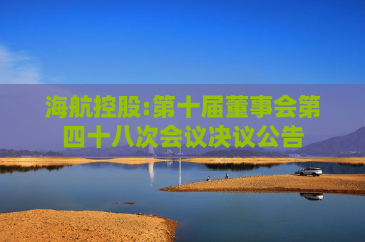 海航控股:第十届董事会第四十八次会议决议公告