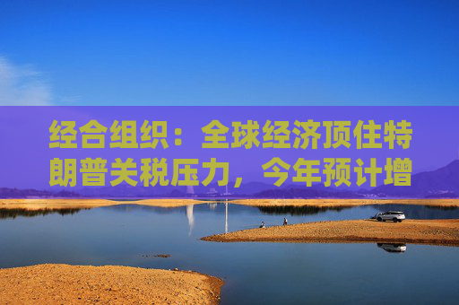 经合组织：全球经济顶住特朗普关税压力，今年预计增长3.2%