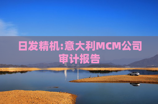 日发精机:意大利MCM公司审计报告