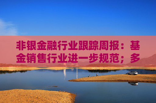 非银金融行业跟踪周报：基金销售行业进一步规范；多家券商优化两融业务布局