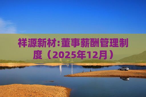 祥源新材:董事薪酬管理制度（2025年12月）