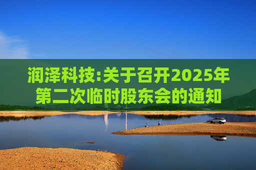 润泽科技:关于召开2025年第二次临时股东会的通知