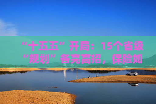 “十五五”开局：15个省级“规划”各亮高招，保险如何登场？