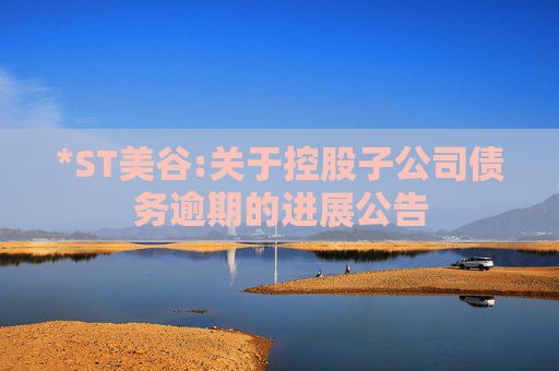 *ST美谷:关于控股子公司债务逾期的进展公告  第1张